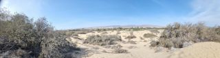 2023-GC-Dunas_Maspalomas-139.jpg